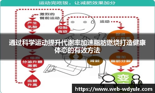 通过科学运动提升代谢率加速脂肪燃烧打造健康体态的有效方法