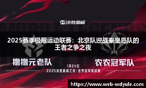 2025赛季极限运动联赛：北京队迎战秦皇岛队的王者之争之夜