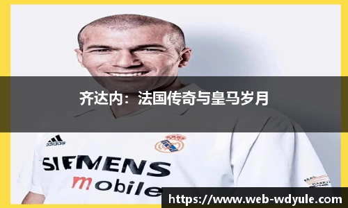 齐达内：法国传奇与皇马岁月